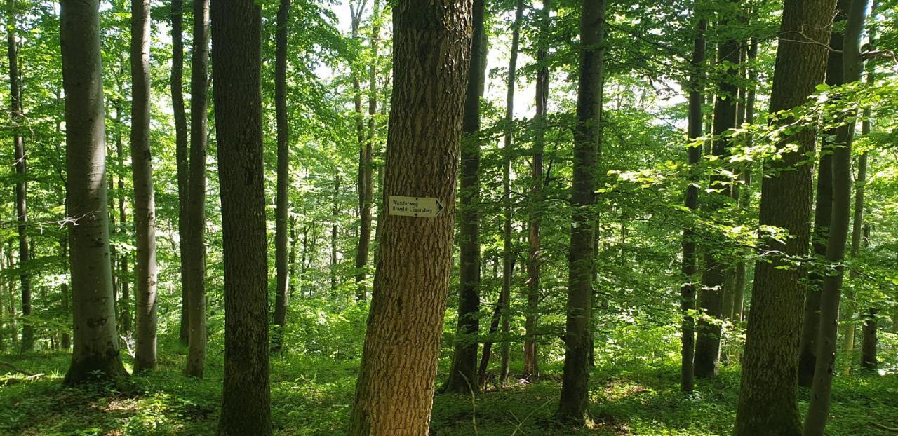Apartmán Kaline 2 Wildflecken Exteriér fotografie
