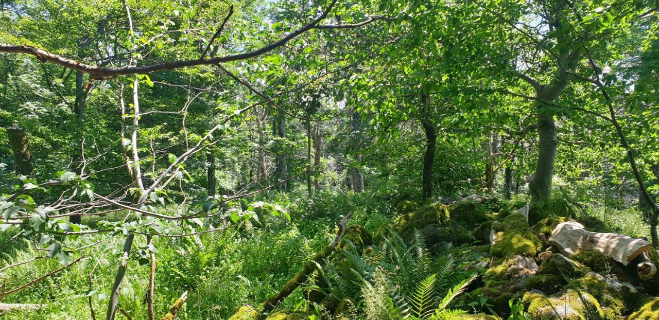 Apartmán Kaline 2 Wildflecken Exteriér fotografie