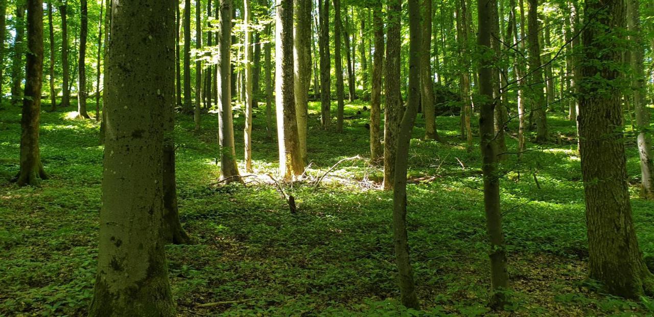 Apartmán Kaline 2 Wildflecken Exteriér fotografie